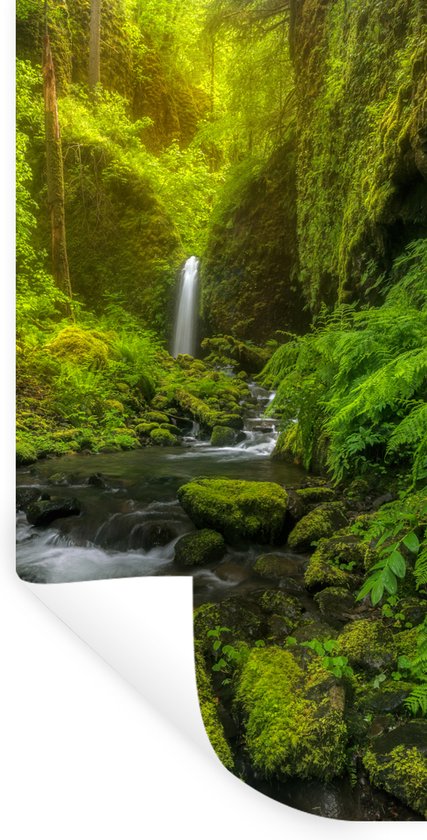 Stickers Stickers muraux - image jungle - 20x40 cm - Feuille adhésive