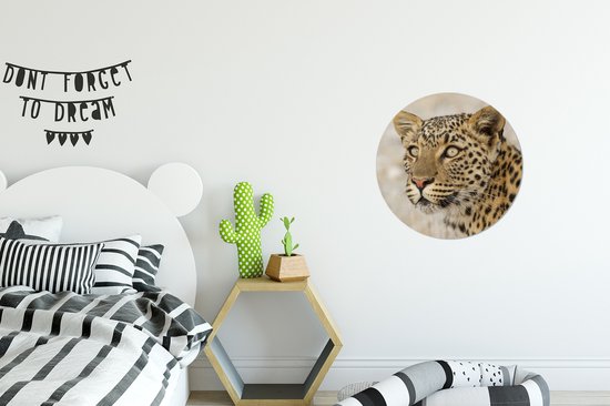 WallCircle - Wall Circle - Wall Circle Indoor - Léopard - Macro - Marron - 30x30 cm - Décoration murale - Peintures Ronds
