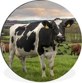 Cercle mural - Cercle mural - Vache - Berg - Herbe - Animaux - Aluminium - ⌀ 90 cm - Intérieur et extérieur
