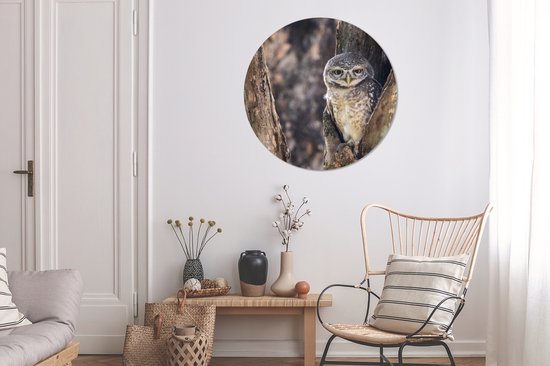WallCircle - Stickers muraux - Cercle de papier peint - Chouette - Arbre - Forêt - 100x100 cm - Cercle mural - Autocollant - Papier peint autocollant rond XXL