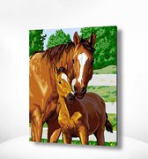 Painting Expert® Schilderen op nummer Volwassenen - Schilderen op nummer Kinderen - Paard en Veulen - 40x50cm - Exclusief Lijst (24 kleurtjes)