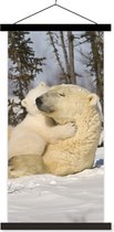 Porte-affiche avec affiche - Affiche scolaire - Ours polaire - Neige - Pin - Jeune - 90x180 cm - Lattes noires