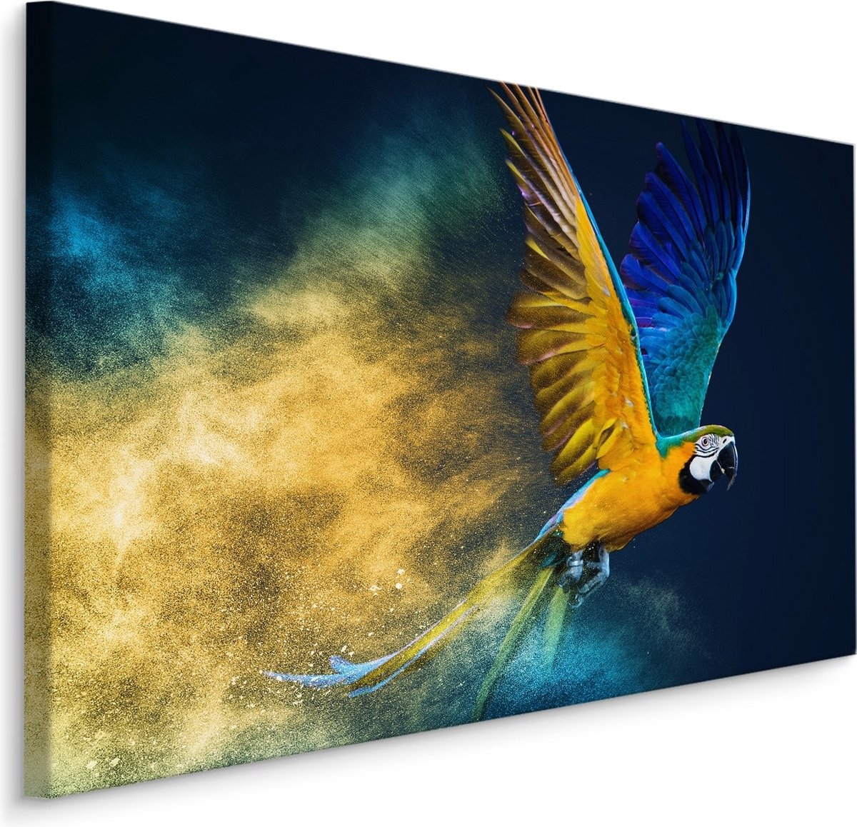 karo-art Schilderij - Kleurrijke Papegaai, Ara, Premium Print Multikleur
