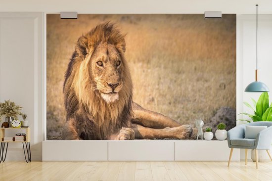 Papier peint - Papier peint photo Papier peint photo - Gros plan - Savane - Largeur 600 cm x hauteur 400 cm
