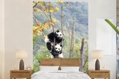 Behang - Fotobehang Panda - Boom - Takken - Breedte 145 cm x hoogte 220 cm