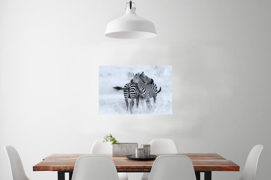 Affiche Zèbres câlins - 90x60 cm