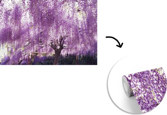 Blooming fotobehang de glycines