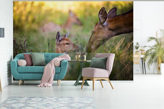 Papier peint - Papier peint Papier peint photo Cerf - Herbe - Forêt - Largeur 450 cm x hauteur 300 cm