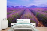 Behang - Fotobehang Rijen van lavendel voor bergen - Breedte 390 cm x hoogte 260 cm