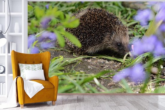 Papier peint photo peint photo vinyle - Hérisson derrière les fleurs largeur 600 cm x hauteur 400 cm - Tirage photo sur papier peint (disponible en 7 tailles)