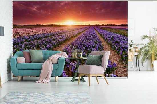 Papier peint photo peint vinyle - Jacinthes en paysage hollandais largeur 450 cm x hauteur 300 cm - Tirage photo sur papier peint (disponible en 7 tailles)