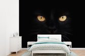 Behang - Fotobehang Close-up zwarte kat - Breedte 305 cm x hoogte 220 cm