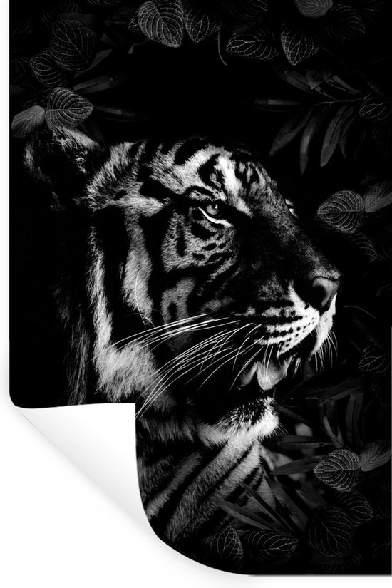 Muurstickers - Sticker Folie - Brullende tijger tussen de bladeren - zwart wit - 20x30 cm - Plakfolie - Muurstickers Kinderkamer - Zelfklevend Behang - Zelfklevend behangpapier - Stickerfolie