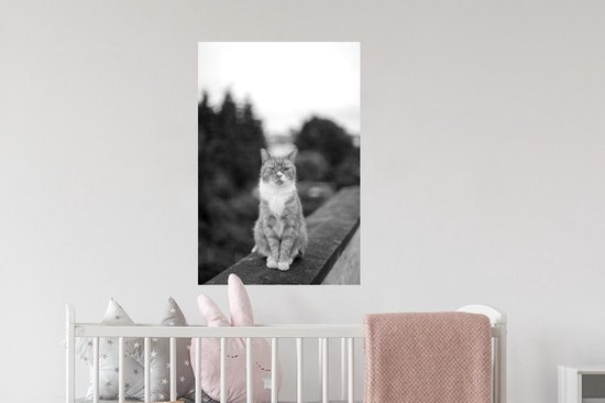 Stickers muraux - Film autocollant - Chat - Balcon - Forêt - Filles - Enfants - Garçons - Kids - 40x60 cm - Film adhésif - Stickers muraux Chambre d'enfant - Papier peint autocollant