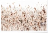 JUNIQE - Poster Wild Reeds -40x60 /Bruin & Ivoor