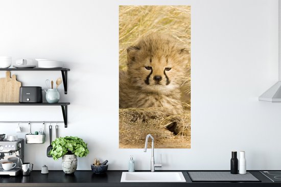 Affiche Guépard - Jeune - Herbe - 60x120 cm