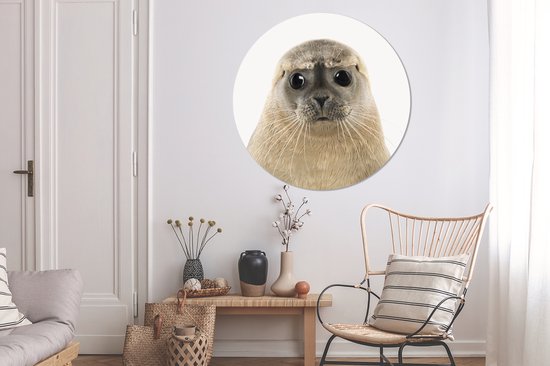 Papier peint Circle - Phoque - Beige - Animaux - ⌀ 120 cm - Wall Circle XXL
