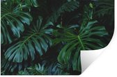 Stickers Stickers muraux - Jungle - Feuille - Vert - 60x40 cm - Feuille adhésive