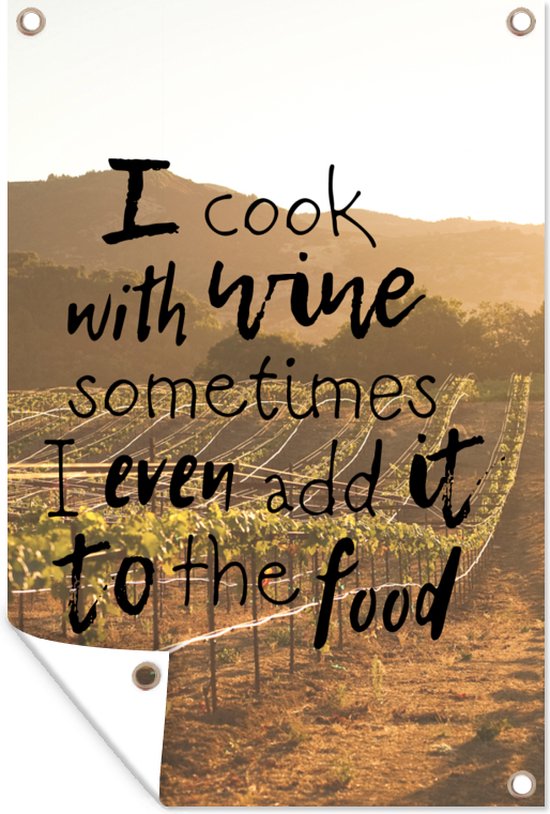 Affiche De Jardin Citations De Vin Cm Citation De Vin Je Cuisine Avec Du Vin Bol Com