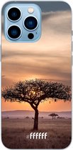 6F hoesje - geschikt voor iPhone 13 Pro Max - Transparant TPU Case - Tanzania #ffffff