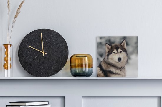 Toile Peinture Husky - 20x20 cm - Décoration murale