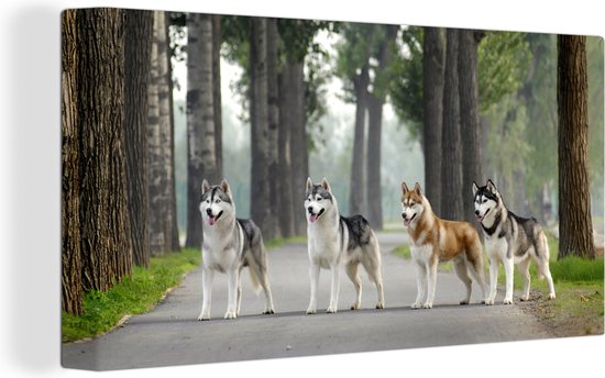 Canvas schilderij 160x80 cm - Wanddecoratie Vier husky's tussen de bomen - Muurdecoratie woonkamer - Slaapkamer decoratie - Kamer accessoires - Schilderijen