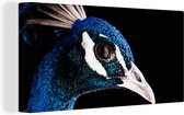 Tableau sur toile Paon - Animal - Blauw - 160x80 cm - Décoration murale