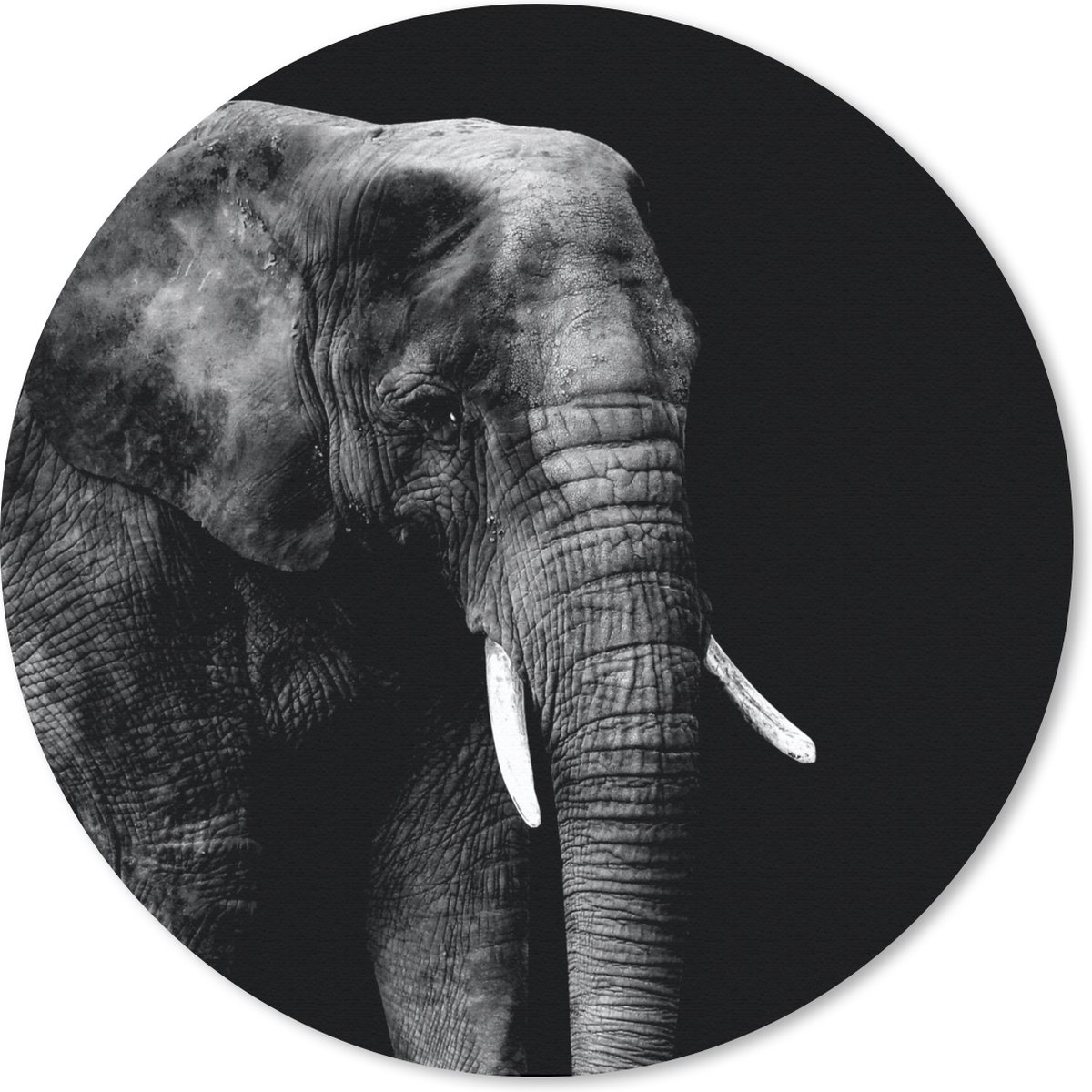 Muismat rond 30x30 cm - Mousepad Olifant - Dieren - Zwart - Wit - Ronde muismatten