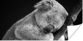 Poster Koala - Slapen - Zwart - Kids - Jongens - Meiden - 160x80 cm
