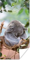 Poster Koala - Takken - Slapen - Kinderen - Jongens - Meiden - 75x150 cm