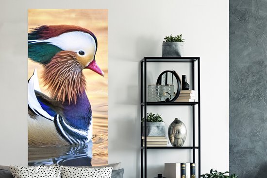 Affiche Canard - Water - Animal - 80x160 cm