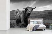 Behang - Fotobehang Schotse hooglander bij een meer - zwart wit - Breedte 450 cm x hoogte 300 cm