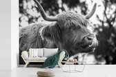 Behang - Fotobehang Schotse hooglander - Koe - Lente - Dieren - Breedte 450 cm x hoogte 300 cm