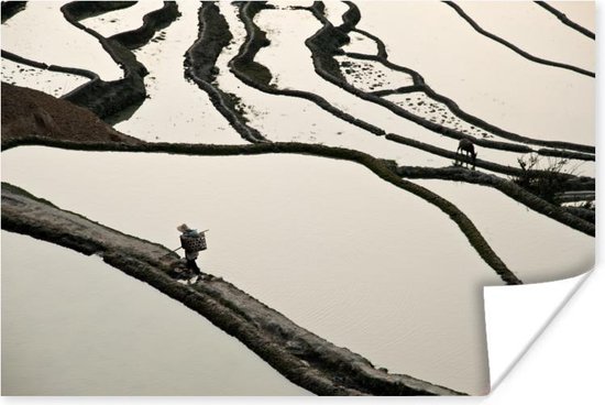 Chinese rijstvelden zwart-wit Poster 180x120 cm - Foto print op Poster (wanddecoratie) XXL / Groot formaat!