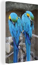 Two Macaw Canvas 120x180 cm - Tirage photo sur toile (Décoration murale salon / chambre) / Animaux Peintures sur toile XXL / Groot format!