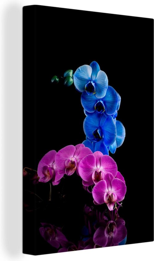Orchidee Bleue Et Rose Sur Fond Noir Toile 40x60 Cm Tirage Photo Sur Toile Bol Com Orchidee Bleue Et Rose Sur Fond Noir Toile 40x60 Cm Tirage Photo Sur Toile Bol Com