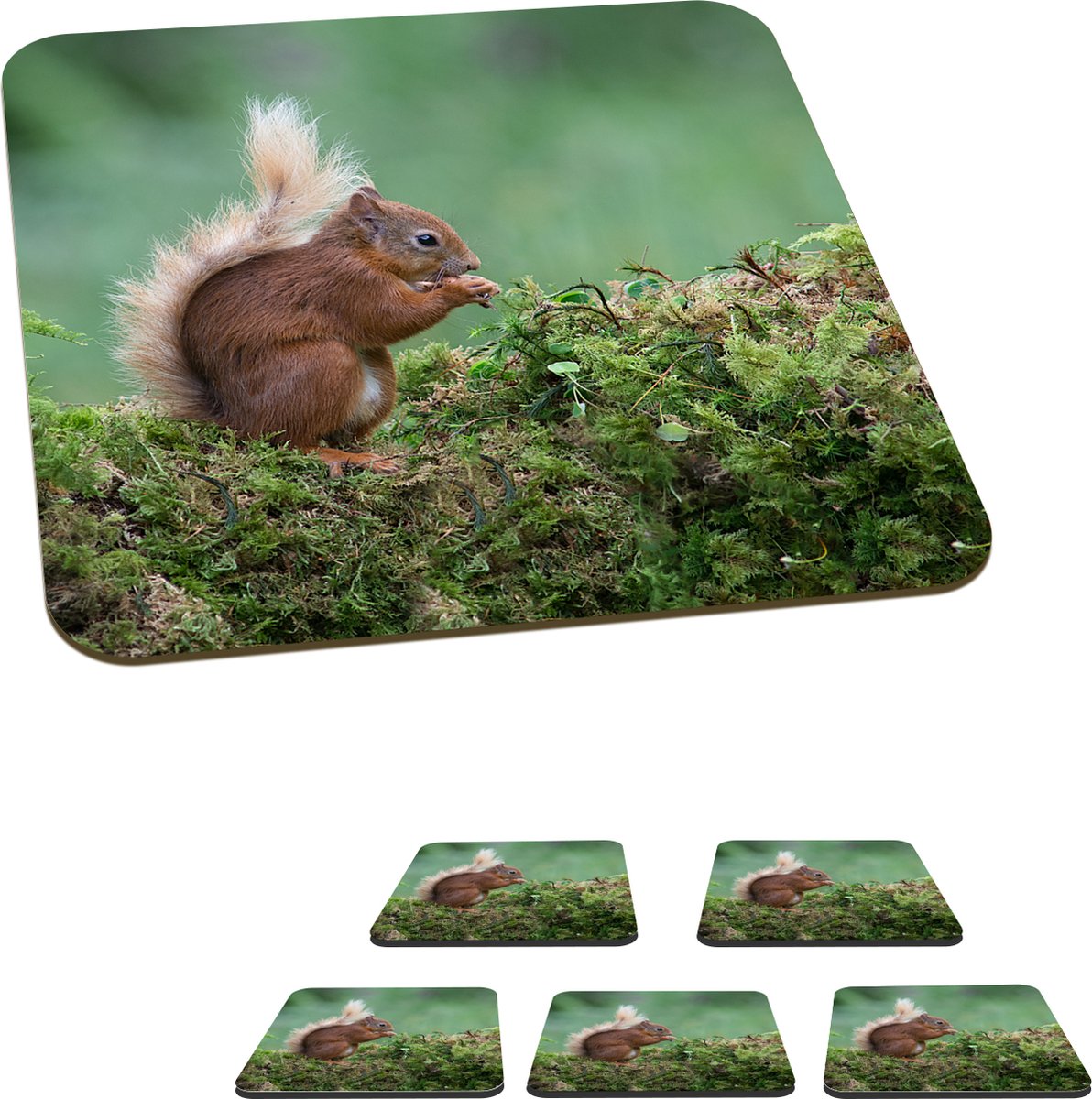 Onderzetters voor glazen - Eekhoorn - Bos - Mos - 10x10 cm - Glasonderzetters - 6 stuks
