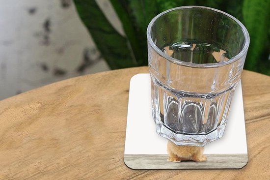 Sous-verres -verres - Chambre de bébé - Lapin - 10x10 cm - 6 pièces