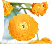 Fleurs - Extérieur - Oranje