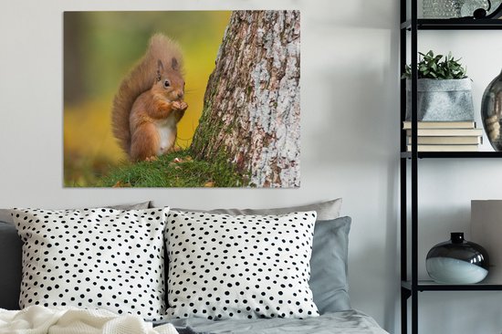 Tableau sur toile Écureuil roux à côté de l'arbre - 80x60 cm - Décoration murale