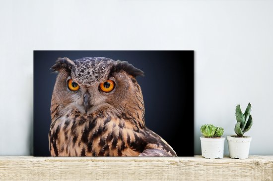 Peinture sur toile Un gros plan d'un hibou marron - 30x20 cm - Décoration murale Art