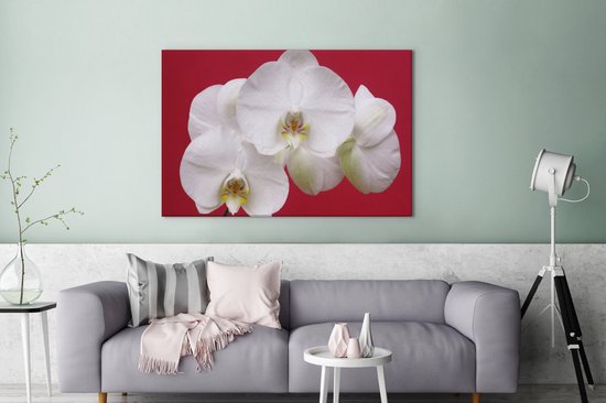 Canvas Schilderij Witte orchidee op rood - 120x80 cm - Wanddecoratie