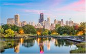 De sfeervolle Chicago skyline vanaf Lincoln Park - Foto op Forex - 45 x 30 cm
