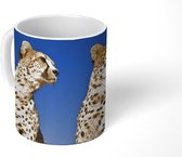 Mok - Wilde cheeta's - 350 ML - Beker