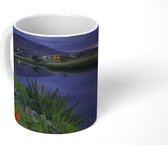 Mok - Rode papavers aan het water - 350 ML - Beker