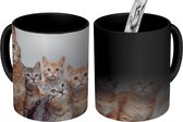 Magische Mok - Foto op Warmte Mokken - Koffiemok - Kat - Kittens - Vacht - Magic Mok - Beker - 350 ML - Theemok