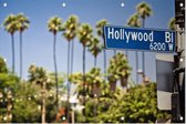 Palmbomen op Hollywood Boulevard in Los Angeles - Foto op Tuinposter - 150 x 100 cm