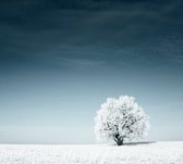 Arbre dans le paysage de neige, - Papier peint photo (en bandes) - 250 x 260 cm