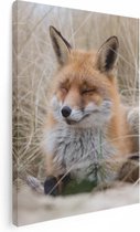 Artaza - Peinture sur toile - Renard dans les dunes - 30 x 40 - Klein - Photo sur toile - Impression sur toile