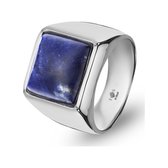 FAVS Heren-Heren Ring Roestvrijstaal 1 Sodalith 68 Zilver 32018014